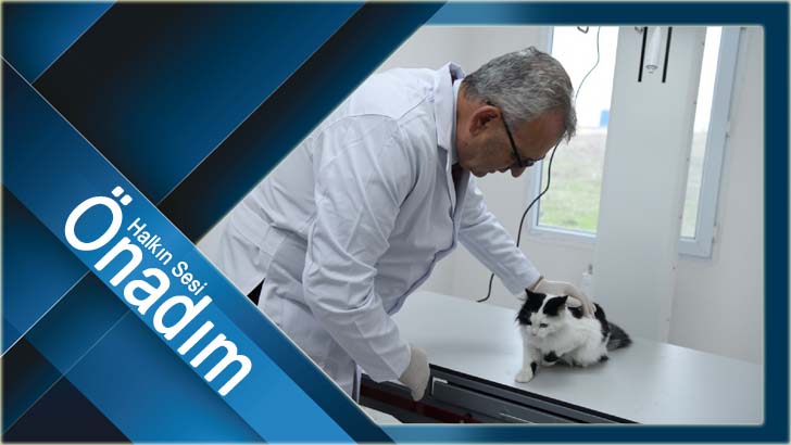 Keşan Belediyesi can dostların bakım ve tedavisi için özveriyle çalışıyor