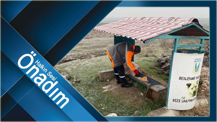 Lüleburgaz Belediyesi can dostları unutmuyor!