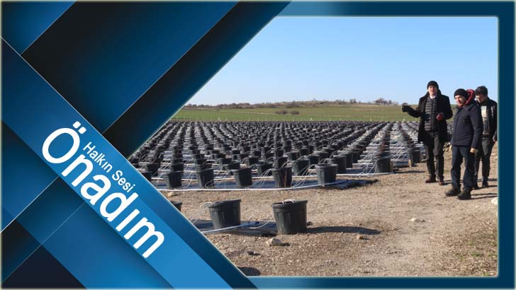 Kırklareli’nde topraksız tarım uygulamaları her geçen gün çoğalıyor