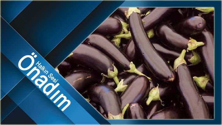 Ocak ayında zam rekoru Patlıcan ve Kabakta görüldü