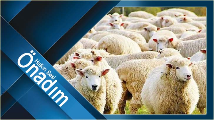 “Erken ödeme ve hibe yem desteği hamlesi ile fırsatçıların önüne geçildi”