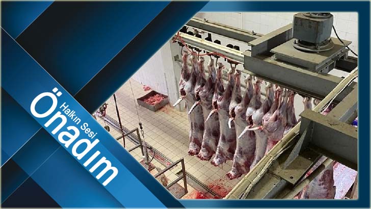 Yasal olmayan şekilde Lüleburgaz’a getirilen 63 büyükbaş hayvan kesime gönderildi