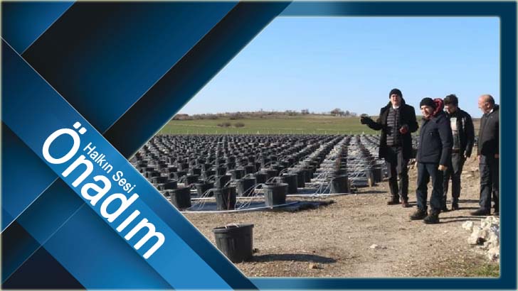 “Kırklareli üzümsü meyvelerin vitrini oluyor”