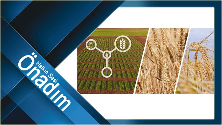 TARIM VE ORMAN BAKANLIĞI, KURAKLIĞA DAYANIKLI ÇEŞİTLERİN EKİMİNİ YAYGINLAŞTIRIYOR