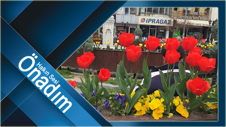 Peyzaj Çalışmalarında ‘Lale Devri’ Başladı