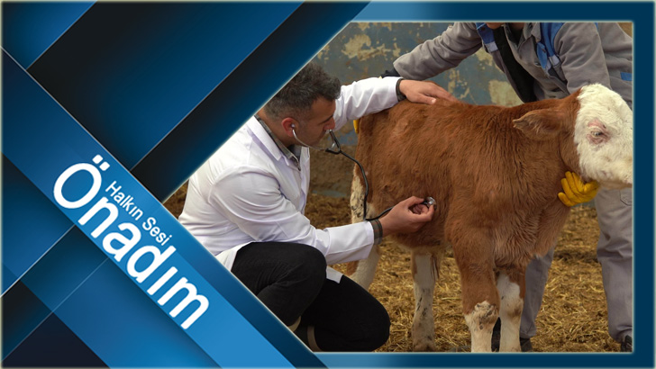 Hayrabolu Belediye’sine Veteriner Sağlık Teknikeri Alımı Yapılacak