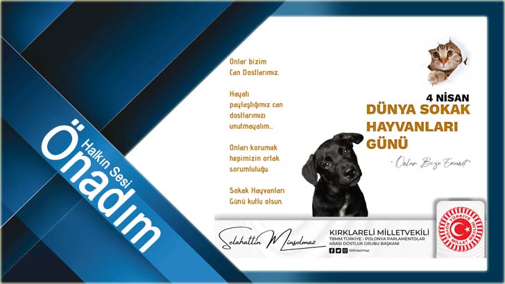 Minsolmaz, sokak hayvanlarını unutmadı