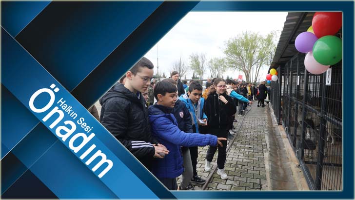 Sokak hayvanlarının minik ziyaretçileri
