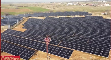 20 Bin Metrekarelik ‘Enerji Tarlası’ Hizmete Girdi