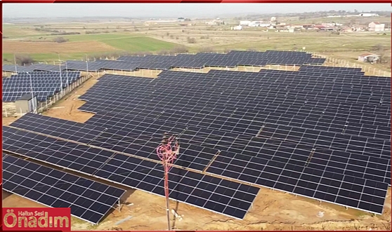20 Bin Metrekarelik ‘Enerji Tarlası’ Hizmete Girdi