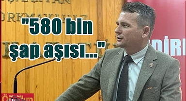 2023 Yılında Kaç Büyük ve Küçükbaş Hayvan Aşılandı?