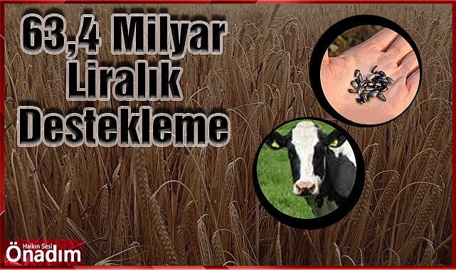 63,4 Milyar Liralık Destekleme