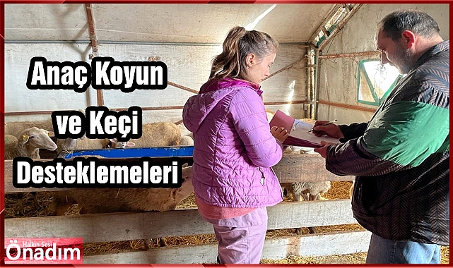 Tarım Orman Müdürlüğü Tespit Çalışmalarına Devam Ediyor
