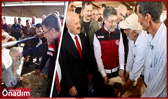 Bedelsiz Hayvan Dağıtımı Yapıldı