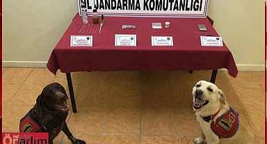 Bu İkilinin Hassas Burunlarından Kaçış Yok!