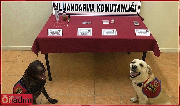 Bu İkilinin Hassas Burunlarından Kaçış Yok!