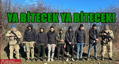 Edirne Artık Göçmen Kaçakçılığı İle Anılmayacak!