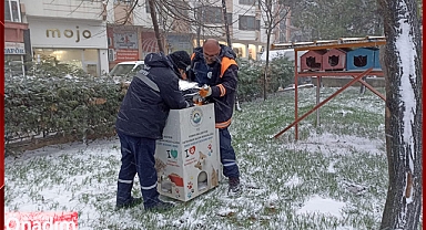 Her şey karda yiyecek aramasınlar diye...