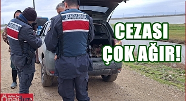 Kaçak Avcılara Göz Açtırmıyorlar!