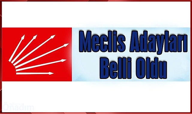Meclis Adayları Belli Oldu