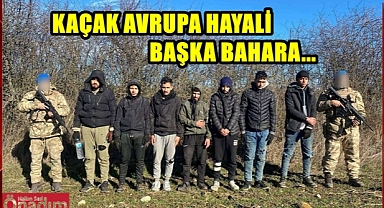 Bir Hafta İçerisinde 294 Kaçak Göçmen ve 14 Organizatör Yakalandı