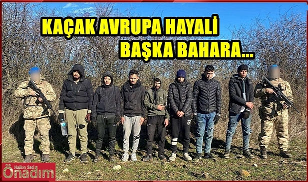 Bir Hafta İçerisinde 294 Kaçak Göçmen ve 14 Organizatör Yakalandı