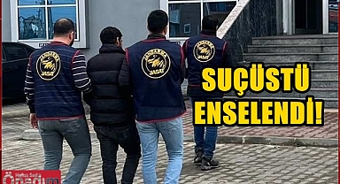 Dikenli Tel Hırsızına Suçüstü!