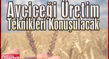 Edirne'de 