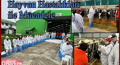 Hayvan Hastalıkları ile Mücadele 