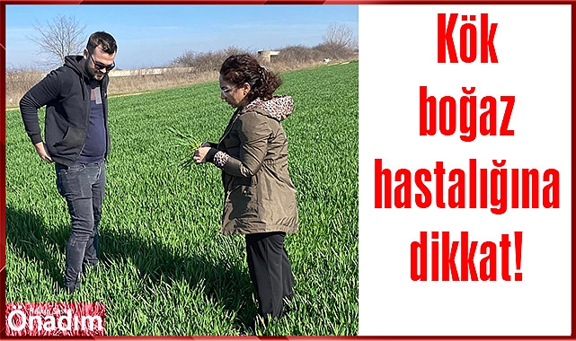 Kök boğaz hastalığına dikkat!