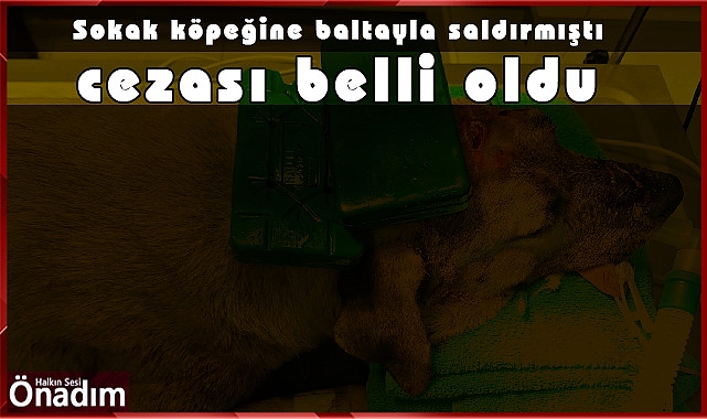 Sokak köpeğine baltayla saldırmıştı, cezası belli oldu