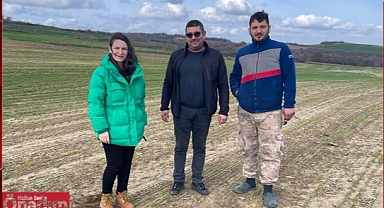 Son Yağmur Buğdaylara İyi Geldi
