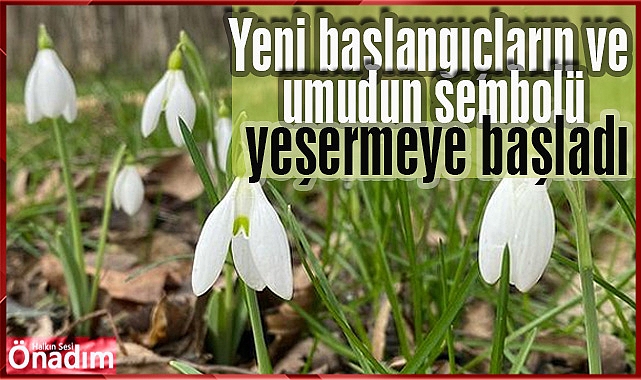 Yeni Başlangıçların ve Umudun Sembolü Yeşermeye Başladı