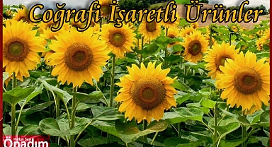 Coğrafi İşaretli Ürünler