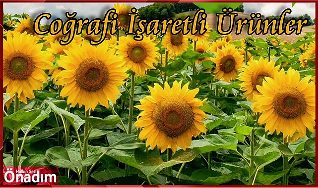 Coğrafi İşaretli Ürünler