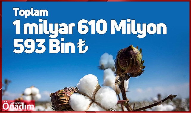 Destekler hesaplara aktarılıyor
