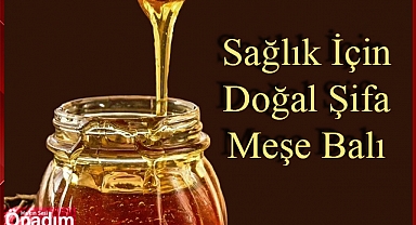 Doğal Şifa Meşe Balı