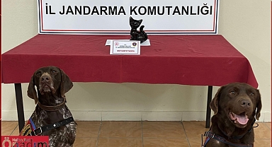 Jandarmadan Metanfetamin Operasyonu