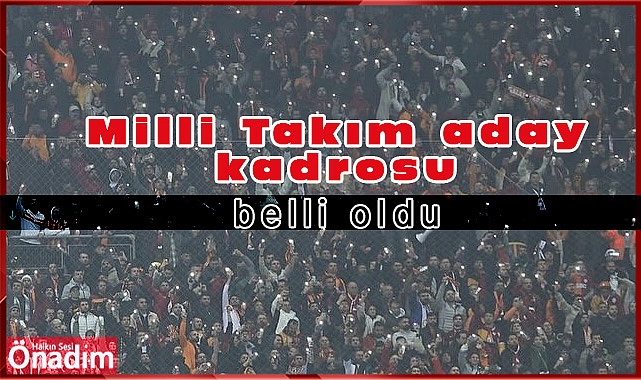 Milli Takım aday kadrosu belli oldu