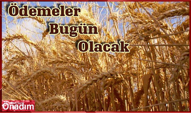 Ödemeler Bugün Olacak