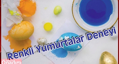 Renkli Yumurtalar Deneyi