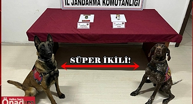 Süper İkili İş Başında; Uyuşturucuya Geçit Yok!