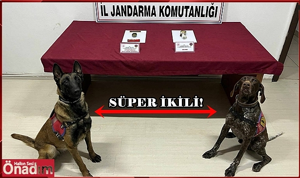 Süper İkili İş Başında; Uyuşturucuya Geçit Yok!