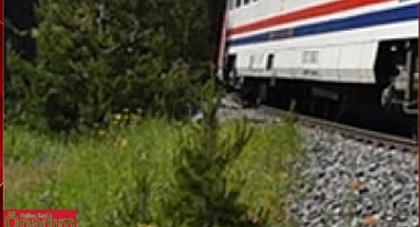 TCDD Hat Güzergahlarında otla mücadele için ilaçlama yapacak