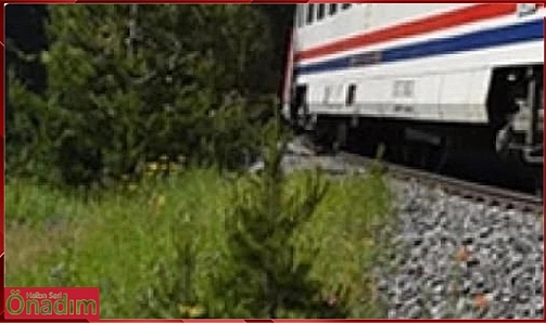 TCDD Hat Güzergahlarında otla mücadele için ilaçlama yapacak