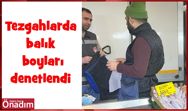 Tezgahlarda balık boyları denetlendi