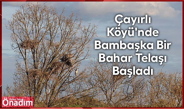 Çayırlı Köyü'nde Bambaşka Bir Bahar Telaşı Başladı