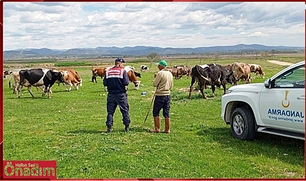 Jandarma Ekipleri Hayvan Otlatıcılarını Bir Kez Daha Uyardı