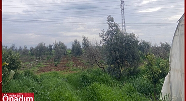 Kırklareli Merkezde Hazineye Ait 33 Adet Taşınmaz Satılacak Satış İhaleleri, 17.04.2024/18.04.2024 Tarihlerinde