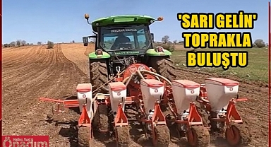 Uzunköprü Çiftçisi Ayçiçeği Ekimi İçin Sahaya İndi